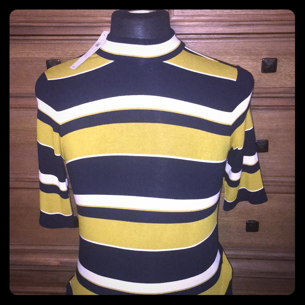 Ann Taylor knit mock turtleneck